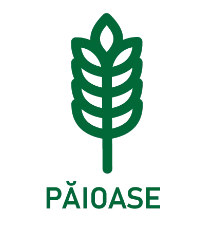 paioase.webp