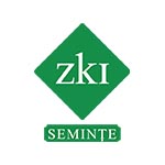 ZKI SEMINTE