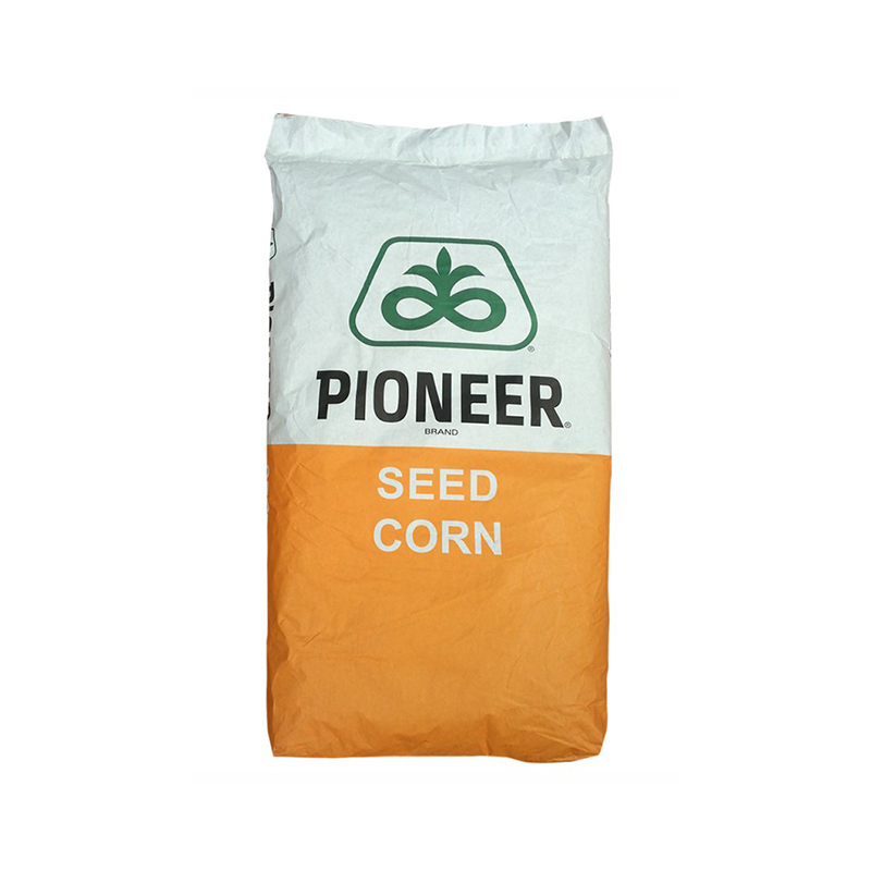 Seminte de porumb Pioneer P9025, LUMIGEN, FAO 300, bob sticlos, 80.000 boabe