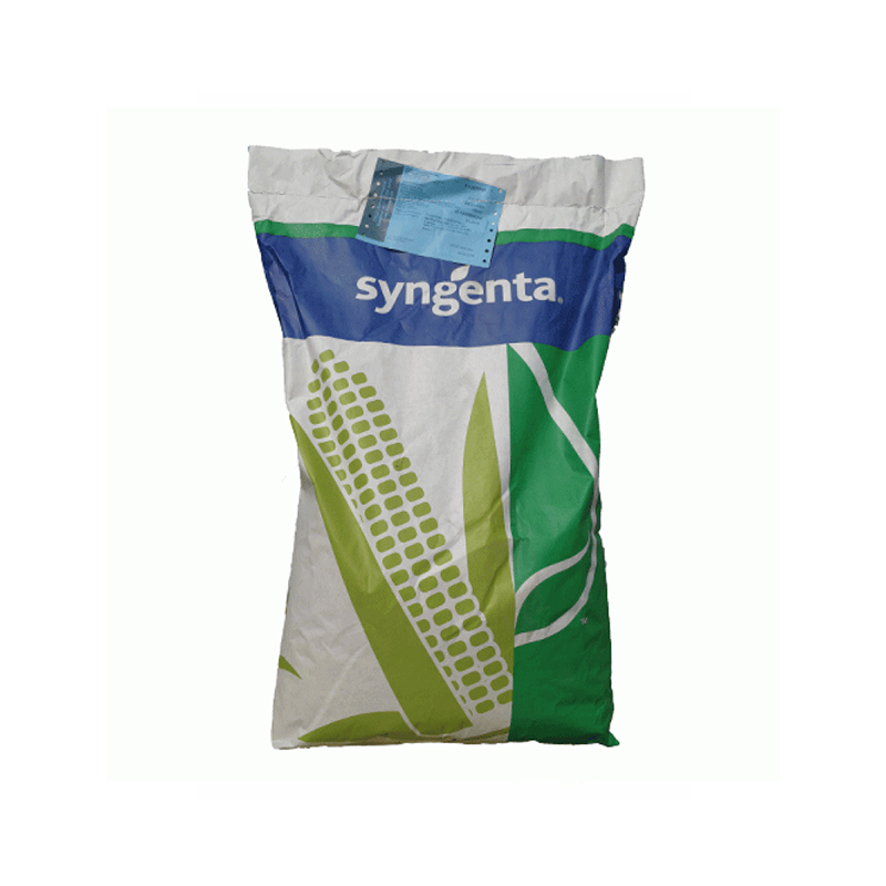 Seminte de porumb Syngenta OZONE, Force, FAO 310-330, 50.000 boabe