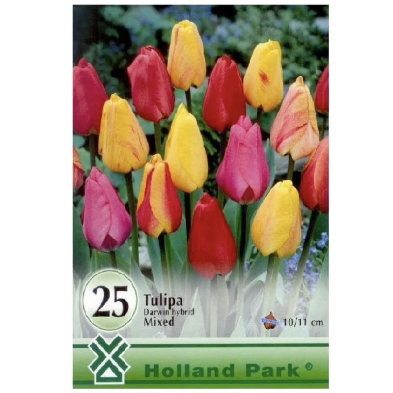 Lalele Darwin Mix, 20 bulbi, Kertimag