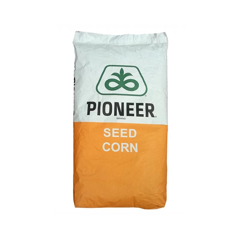 Seminte de porumb Pioneer PR31Y43, FAO 590, Siloz, 80.000 boabe