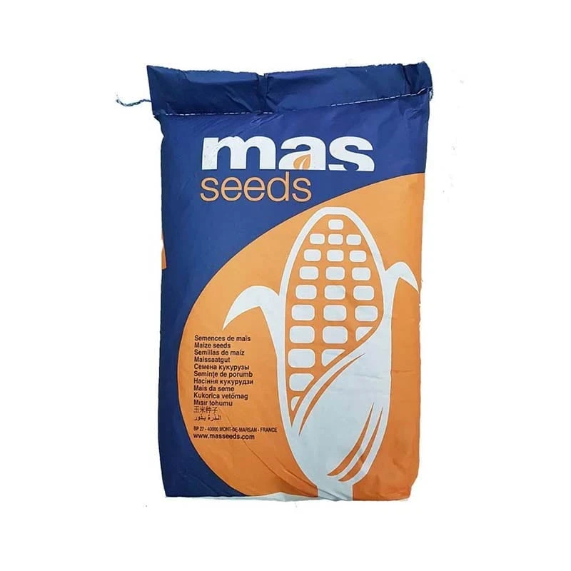 Seminte de Porumb MAS 43.P Mas Seeds, FAO 390, Boabe - Sac 50.000 boabe